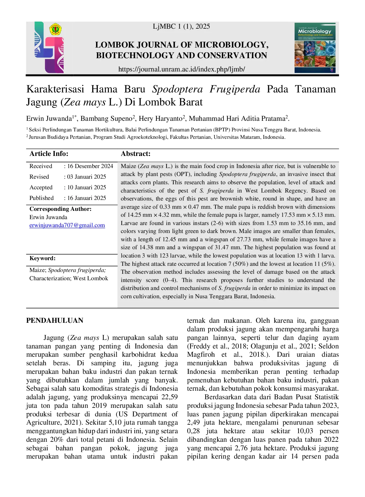 JURIS Karakterisasi Hama Baru Spodoptera Frugiperda Pada Tanaman Jagung Zea mays L Di Lombok Barat