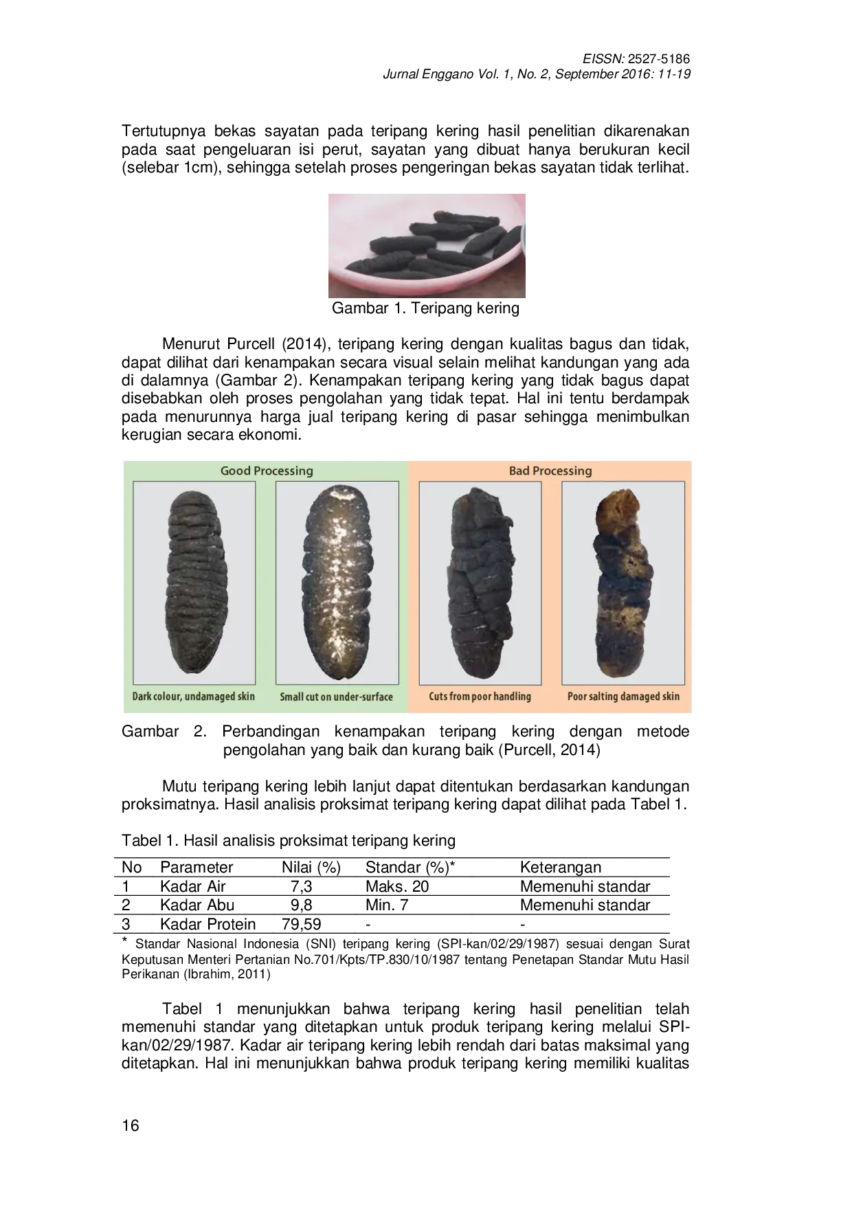 JURIS Studi Pengolahan Teripang Kering