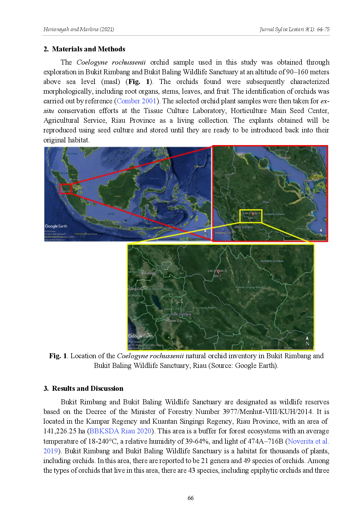 juris Characterization and Potential of Coelogyne rochussenii Orchids from Bukit Rimbang and Bukit Baling Wildlife Sanctuary as Explant Source