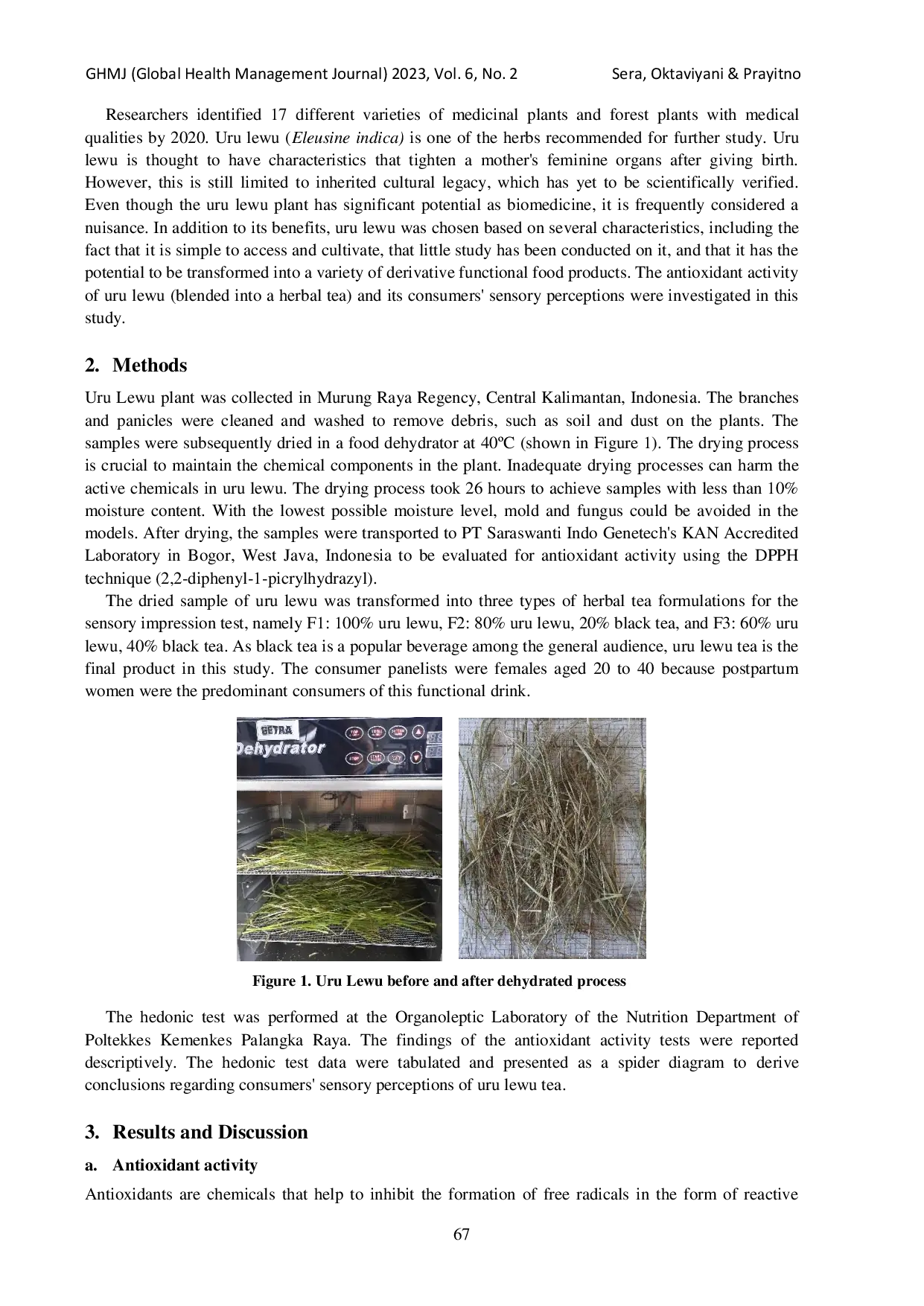 juris Antioxidant Activity and Consumer Sensory Perceptions of Uru Lewu Eleusine indica Formulations