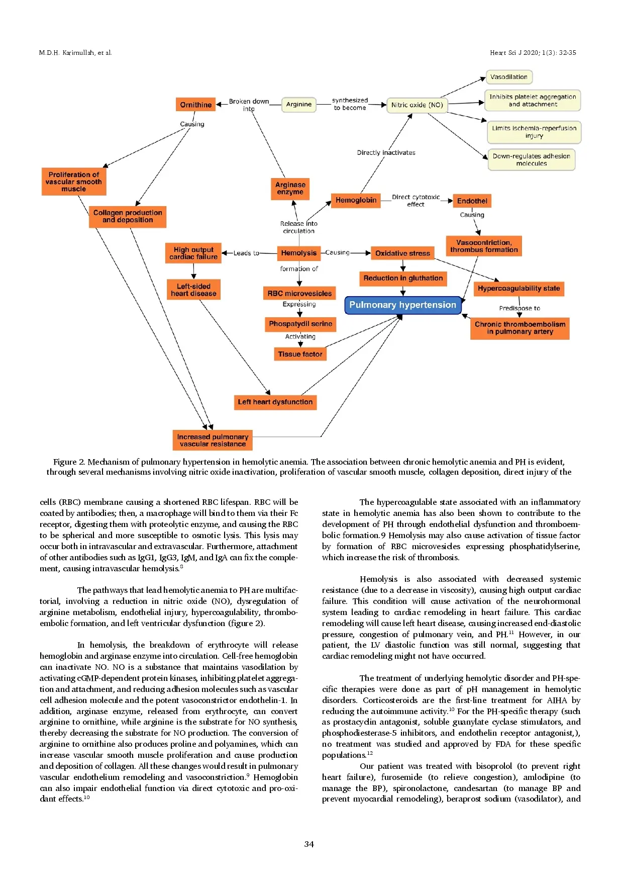 juris Autoimmune Hemolytic Anemia Causing Group 5 Pulmonary Hypertension A Rare Case