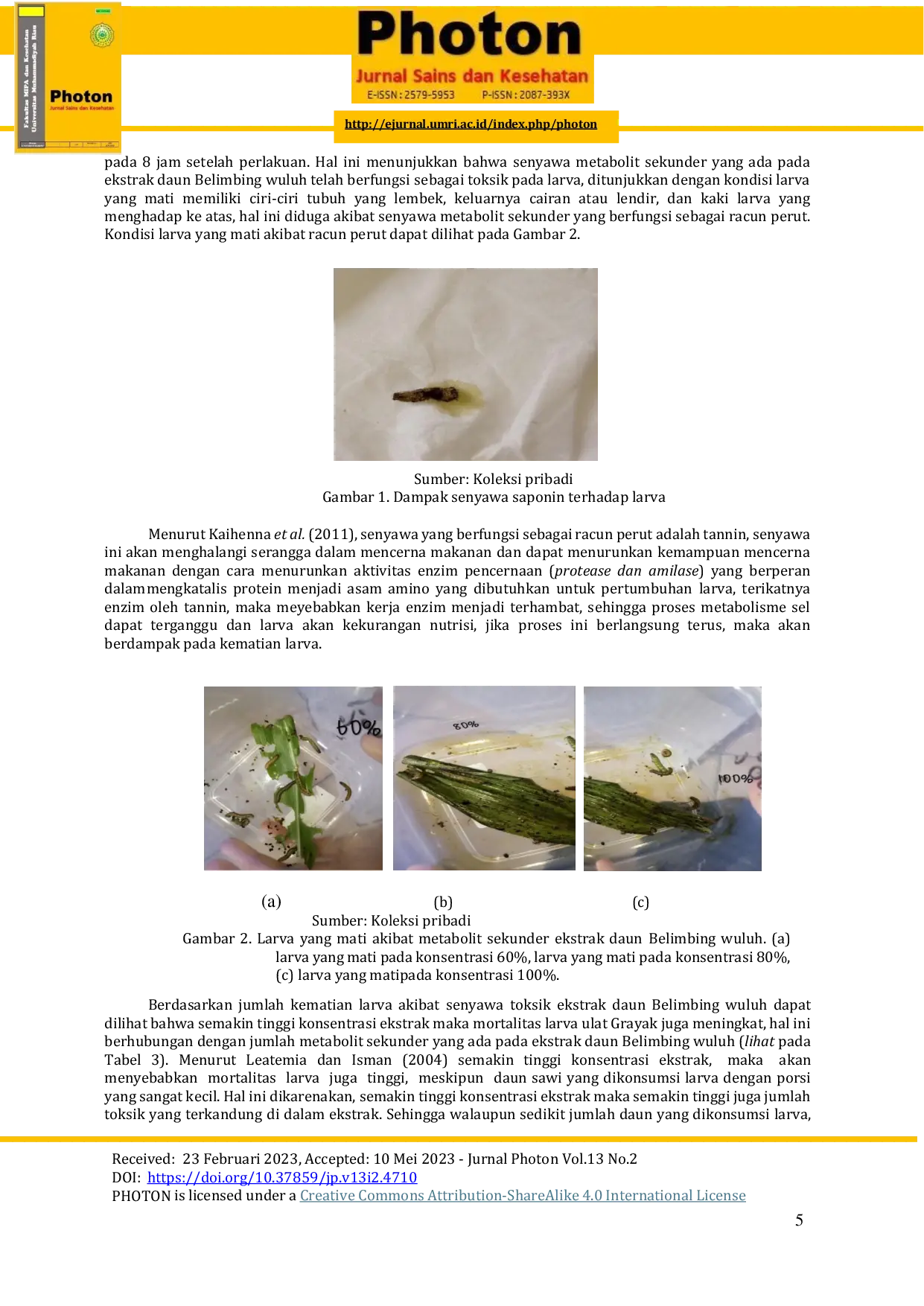 JURIS Uji Toksisitas Ekstrak Daun Belimbing Wuluh Averrhoa bilimbi L terhadap Ulat Grayak Spodoptera frugiperda