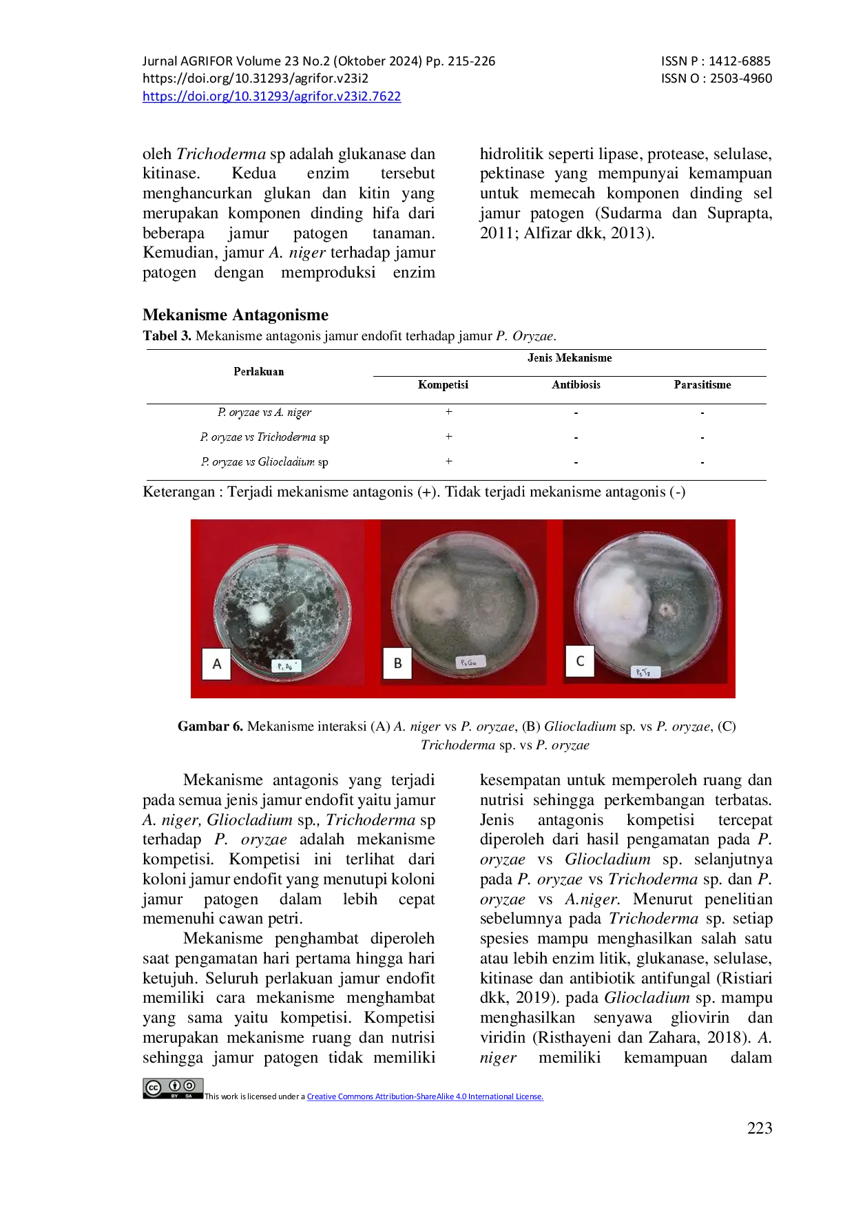JURIS EKSPLORASI JAMUR ENDOFIT PADA Echinochloa crus galli L P Beauv UNTUK MENGENDALIKAN JAMUR Pyricularia oryzae PADA TANAMAN PADI SECARA IN VITRO