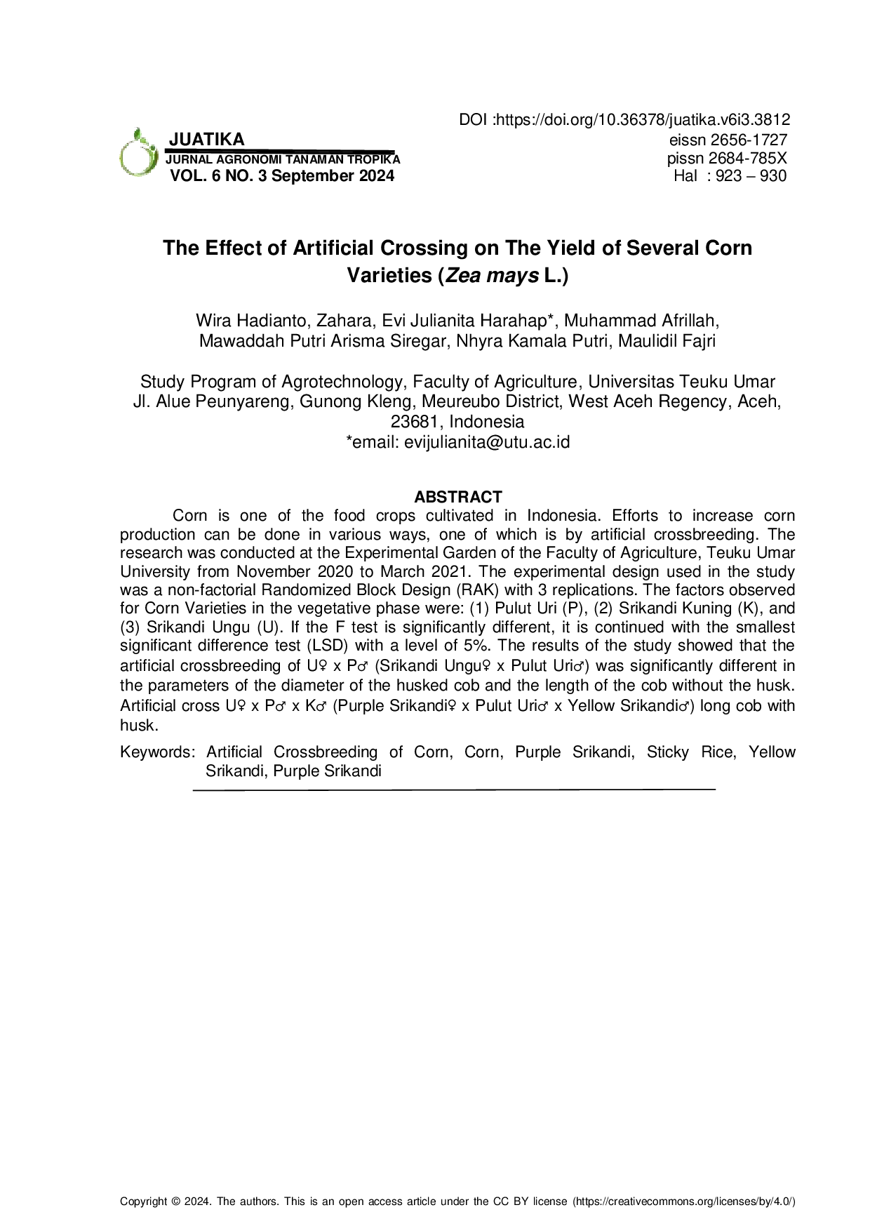 JURIS The Effect of Artificial Crossing on The Yield of Several Corn Varieties Zea mays L