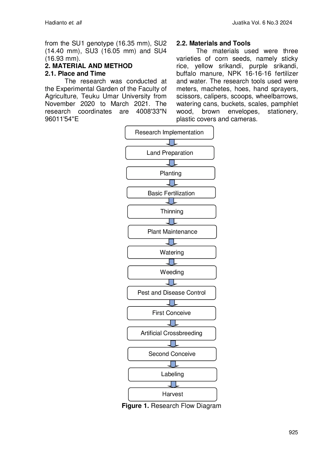 JURIS The Effect of Artificial Crossing on The Yield of Several Corn Varieties Zea mays L
