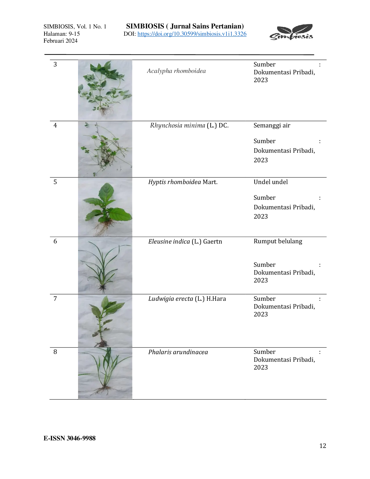 JURIS Jenis Jenis Gulma Padi Oryza Sativa L di Lahan Pertanian Desa Pahang Asri Kecamatan Buay Pemuka Peliung