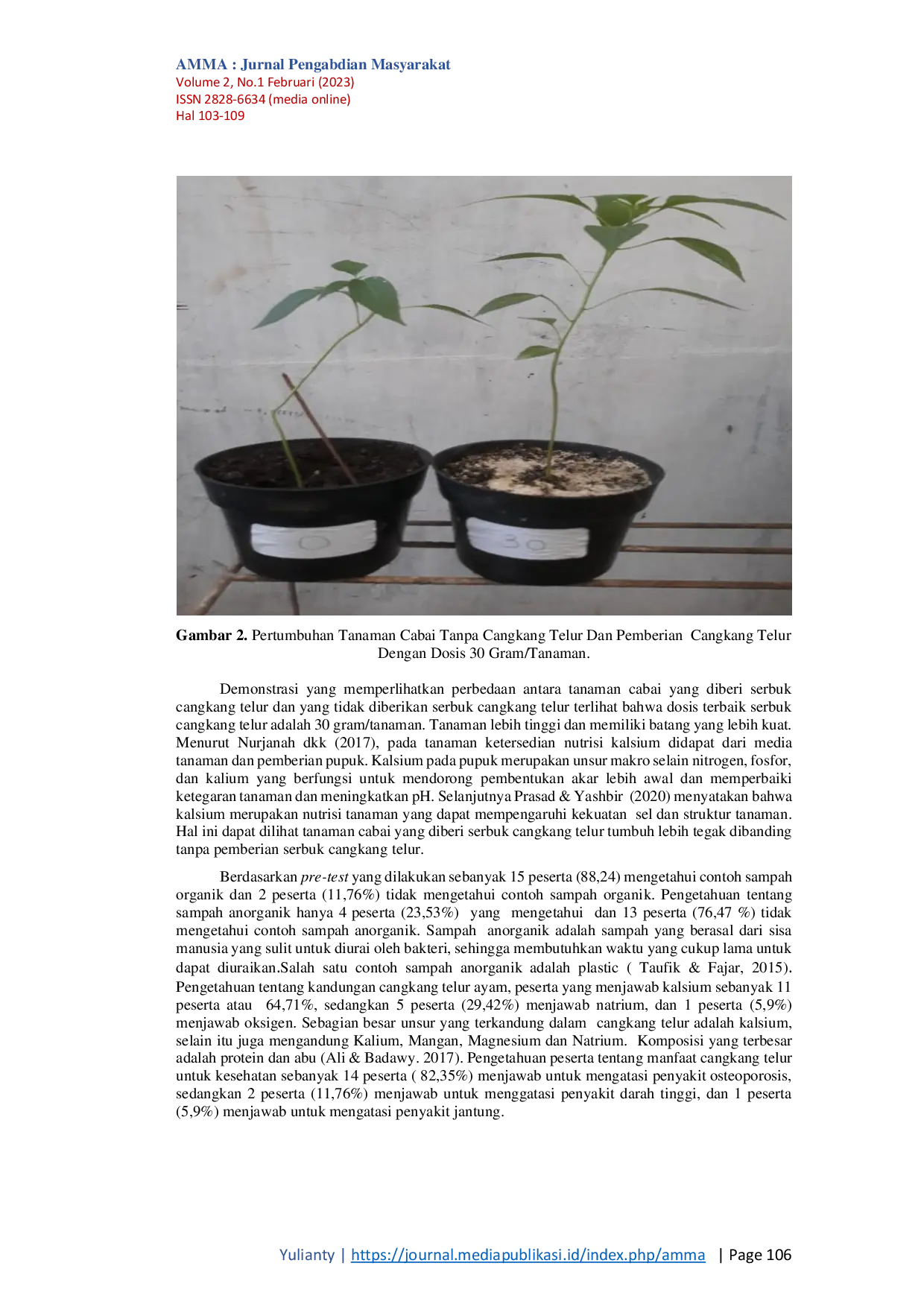 JURIS Pemanfaatan Cangkang Telur Sebagai Pupuk Organik Pada Tanaman di Desa Gebang Kabupaten Pesawaran