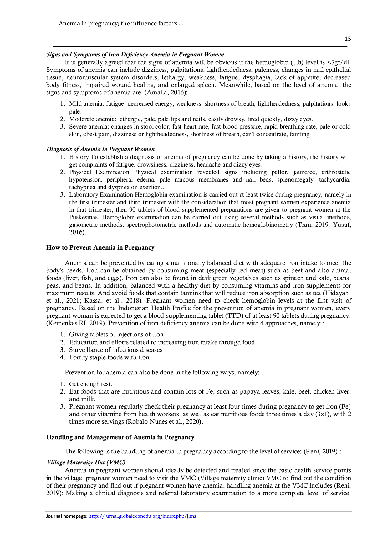 JURIS Anemia in pregnancy the influence factors responsibility and challenge of midwives