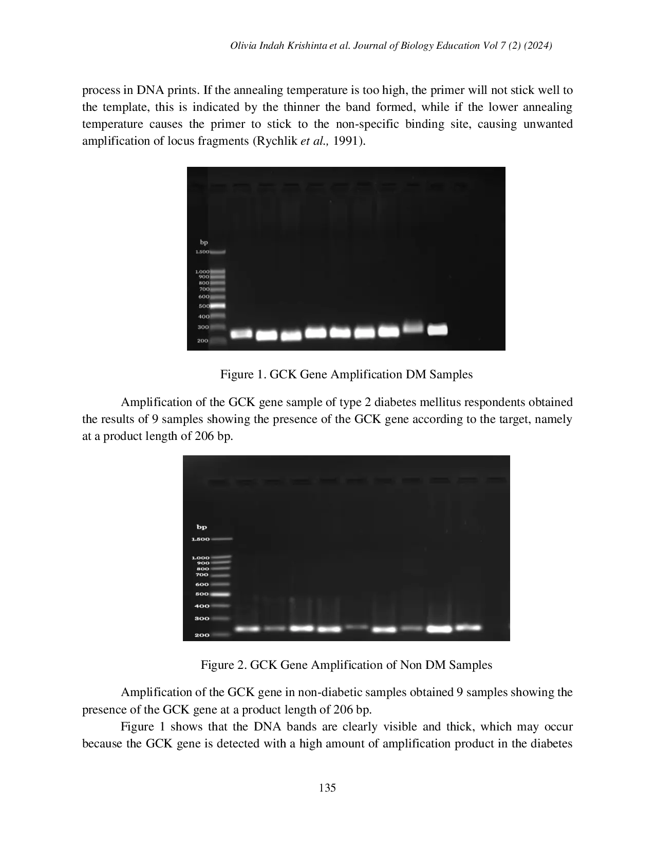 JURIS Detection Of Glukokinase GCK Gene In Type 2 Diabetes Mellitus And Non Diabetics Respondents Using The Polymerase Chain Reaction Method