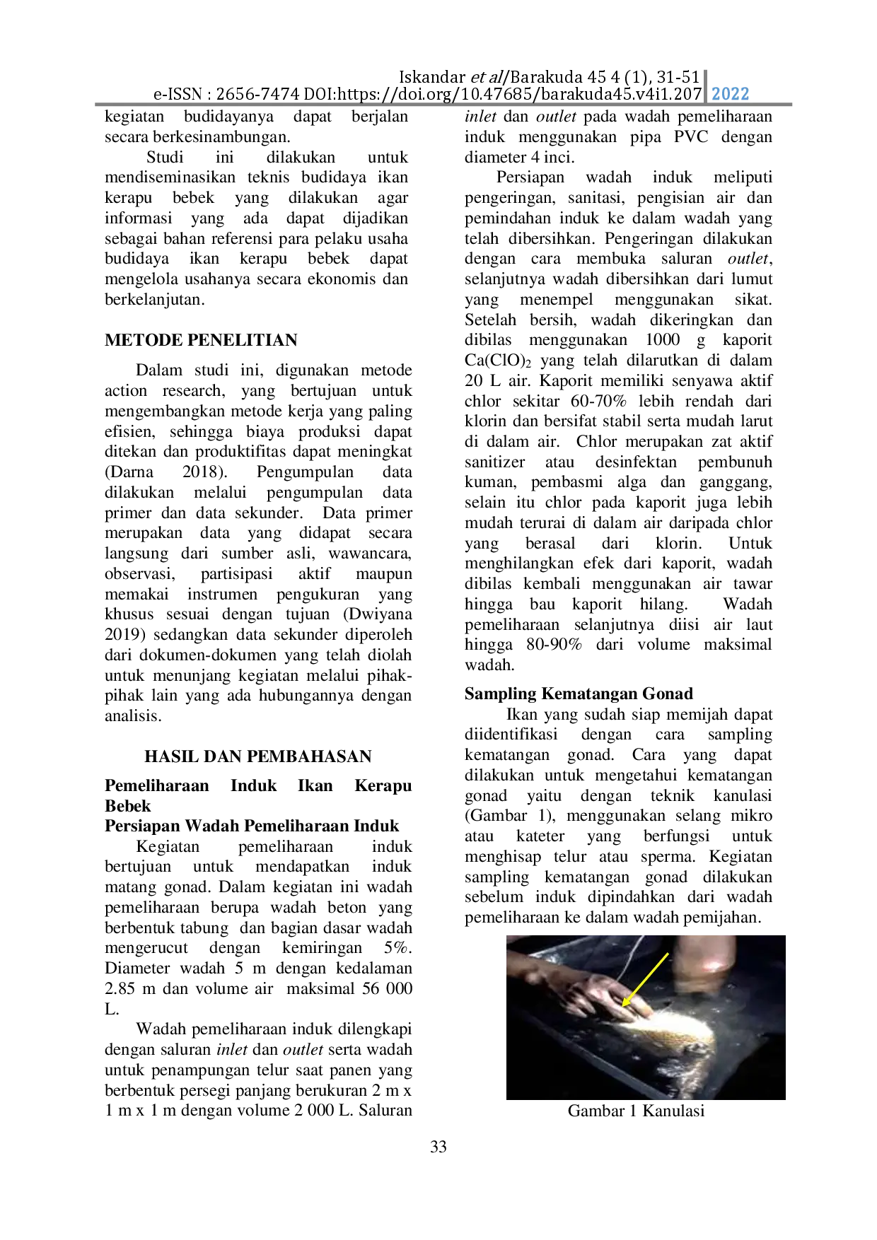 juris Manajemen Pembenihan Ikan Kerapu Bebek Chromileptes Altivelis Untuk Menghasilkan Benih Yang Optimal