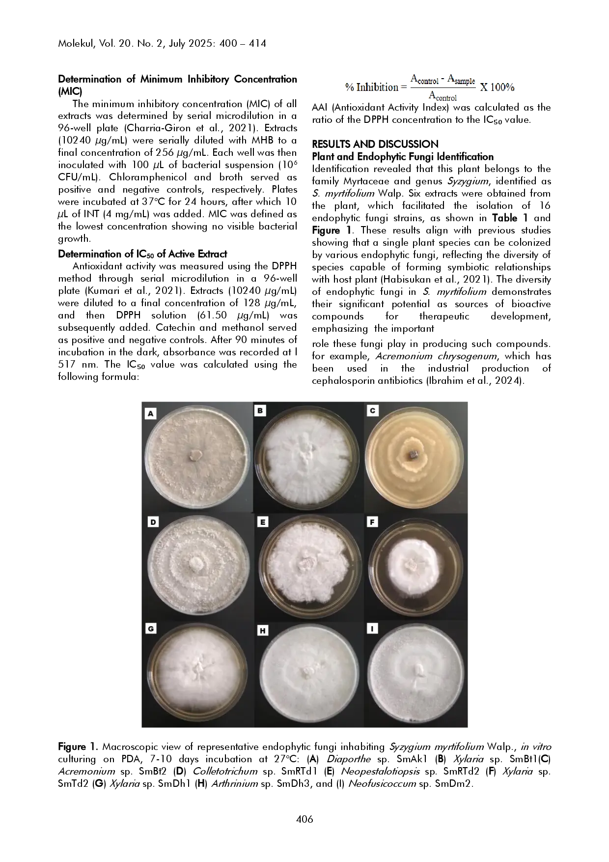 juris Antioxidant and Antibacterial Activities of Plant and Endophytic Fungi Extracts from Syzygium myrtifolium Walp with LC HRMS Profiling of Active Extracts