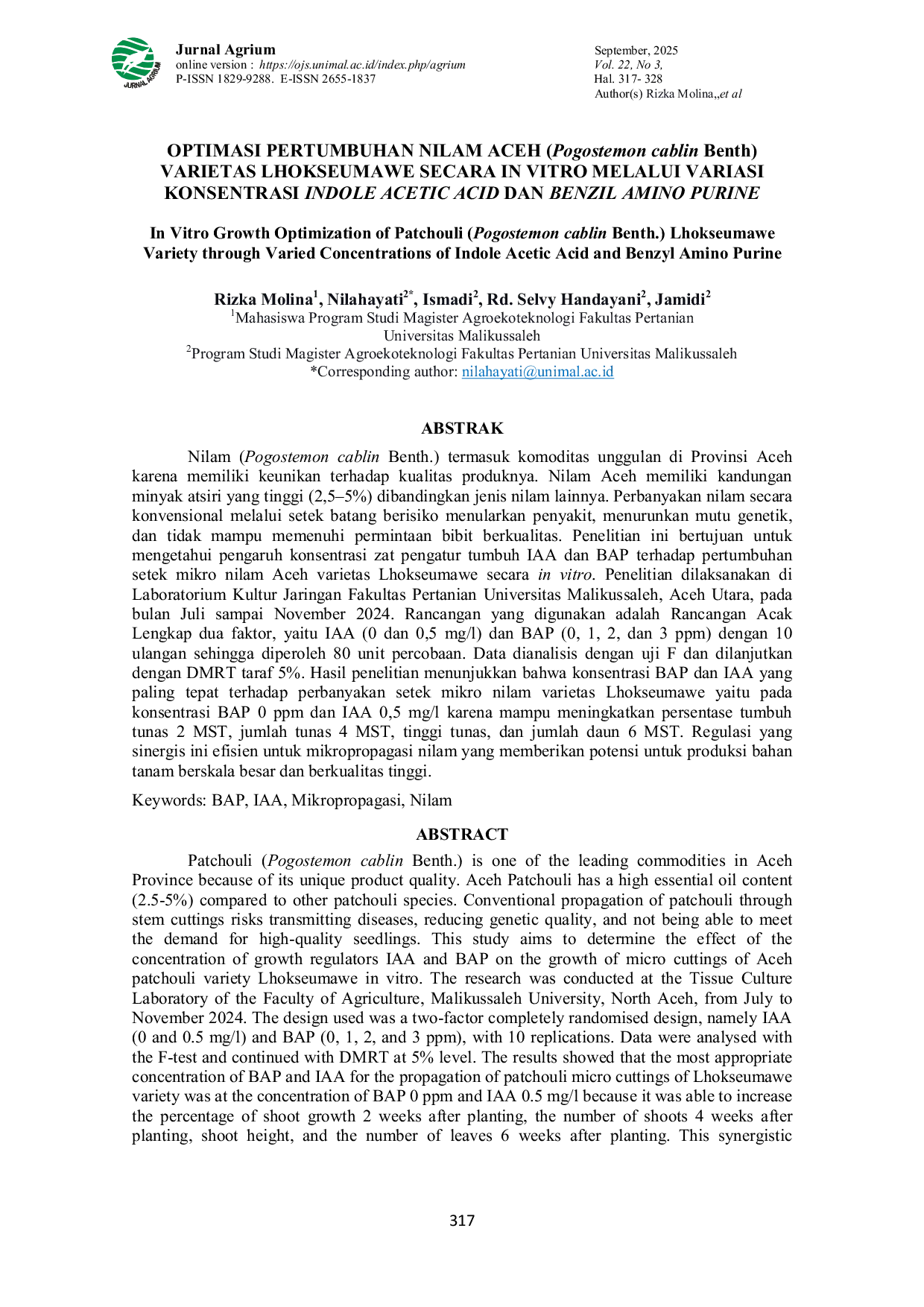 JURIS Optimasi Pertumbuhan Nilam Aceh Pogostemon cablin Benth Varietas Lhokseumawe Secara In Vitro Melalui Variasi Konsentrasi Indole Acetic Acid Dan Benzil Amino Purine
