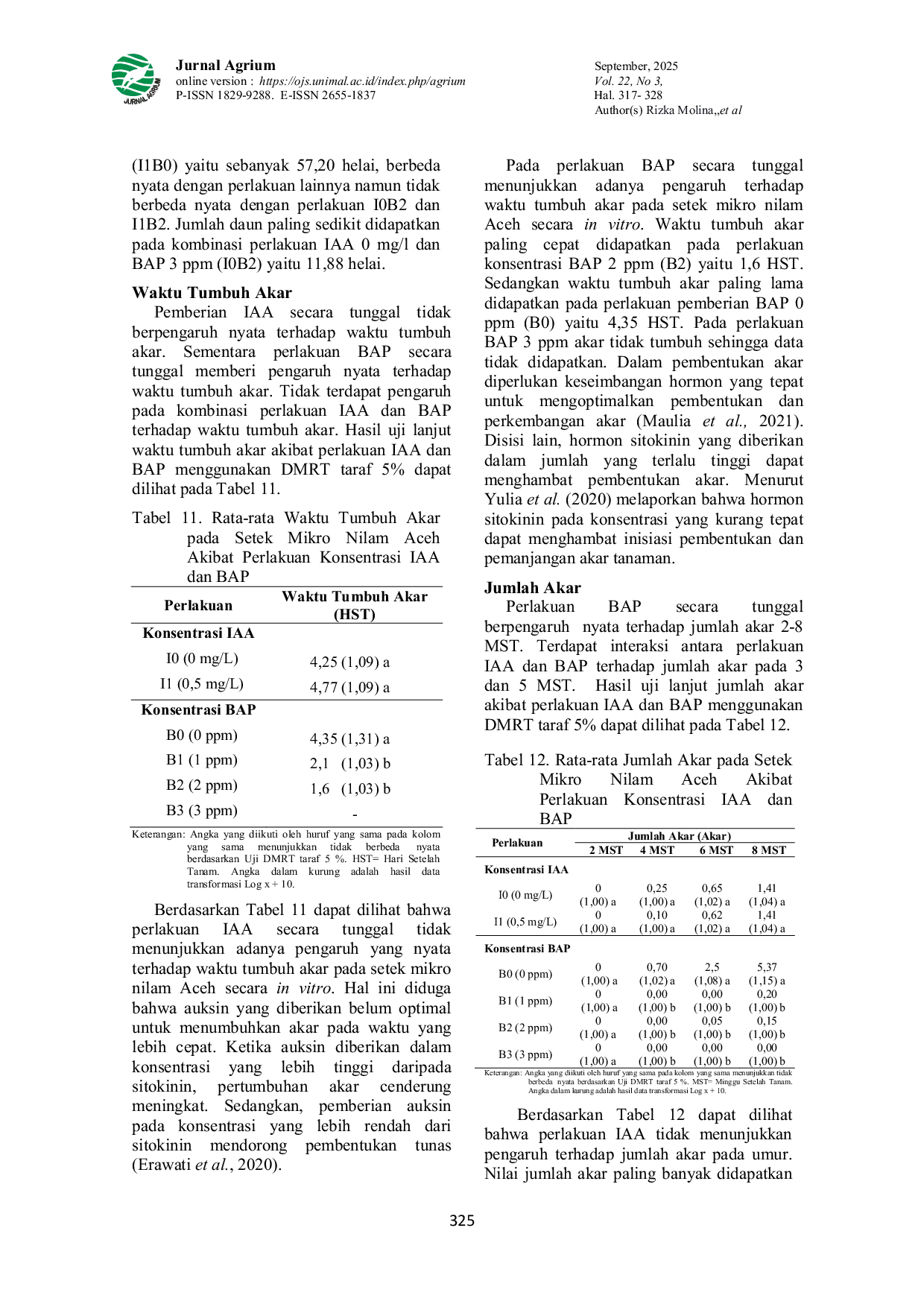 JURIS Optimasi Pertumbuhan Nilam Aceh Pogostemon cablin Benth Varietas Lhokseumawe Secara In Vitro Melalui Variasi Konsentrasi Indole Acetic Acid Dan Benzil Amino Purine