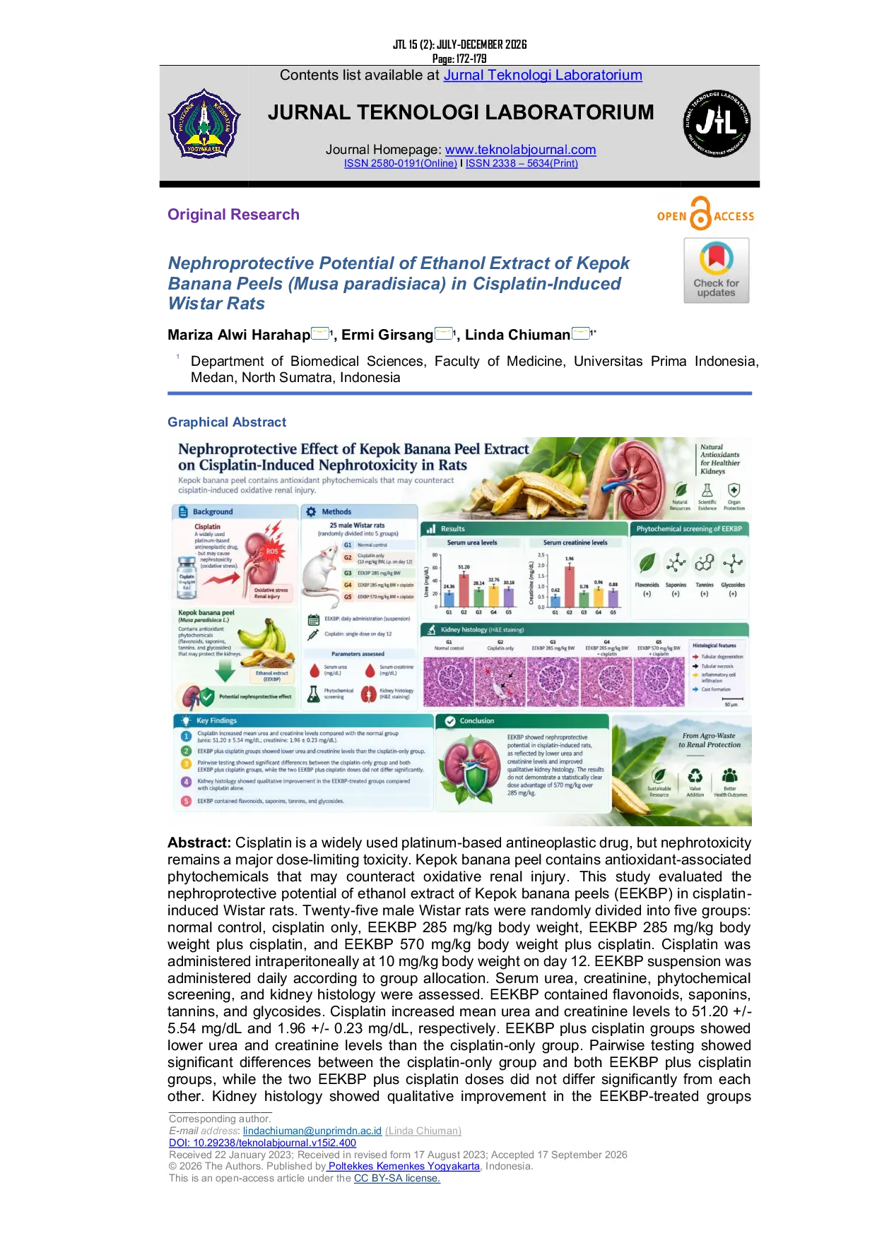 JURIS Potential of Nephroprotective Effect of Ethanol Extract of Kepok Banana Peels on Cisplatin induced Wistar Rats