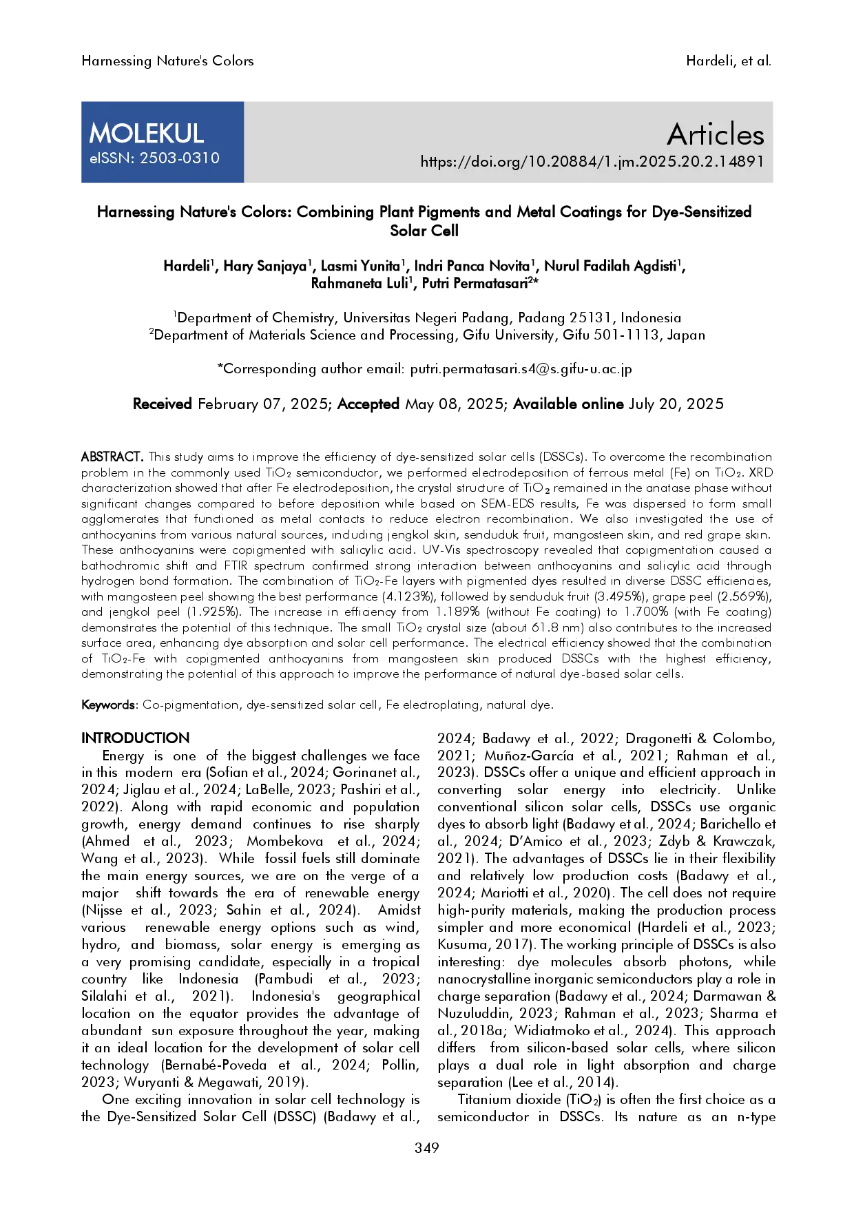 juris Harnessing Nature s Colors Combining Plant Pigments and Metal Coatings for Dye Sensitized Solar Cell