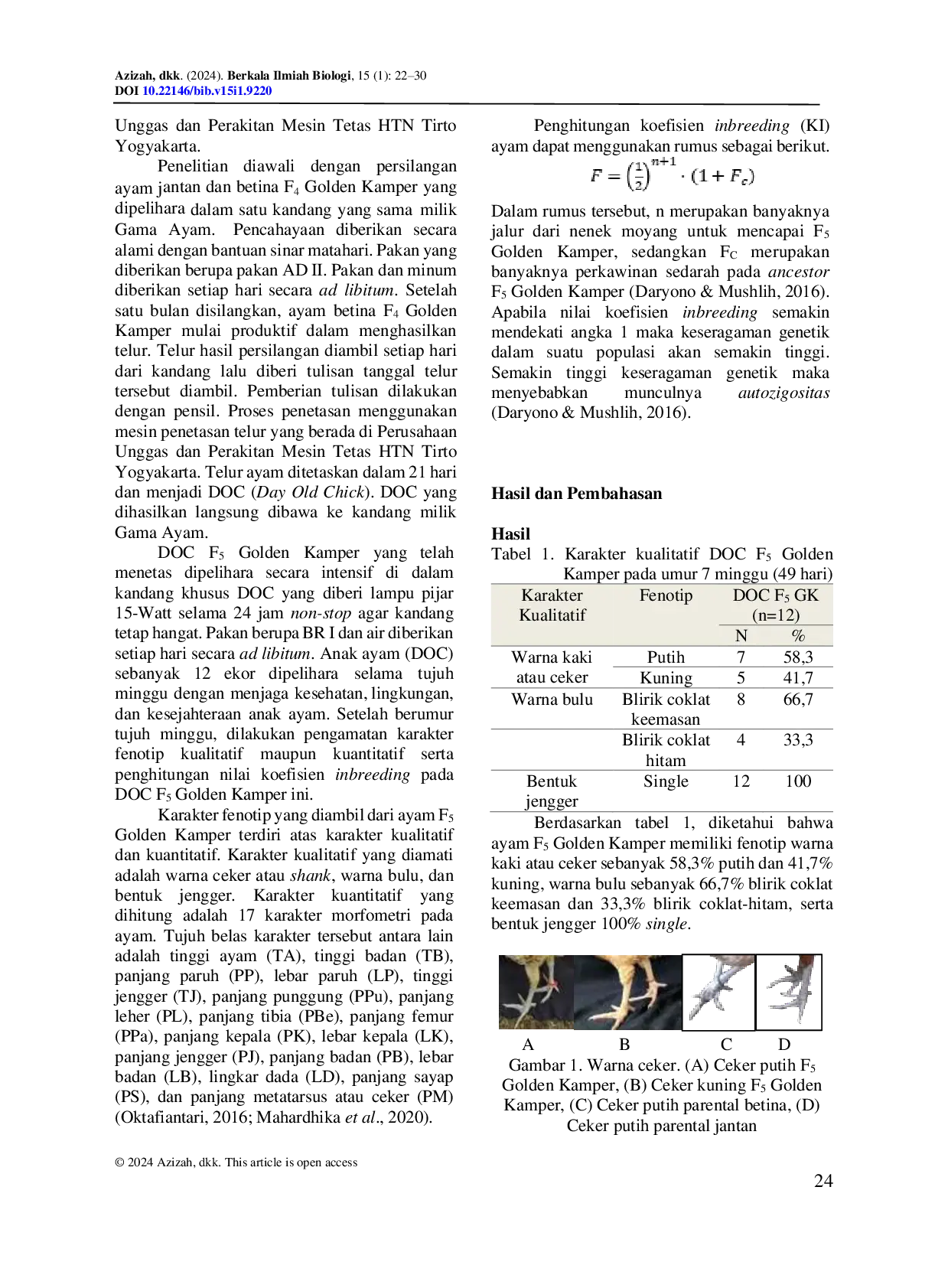 JURIS Karakter Fenotip dan Koefisien Inbreeding pada Ayam F5 Golden Kamper Gallus gallus domesticus