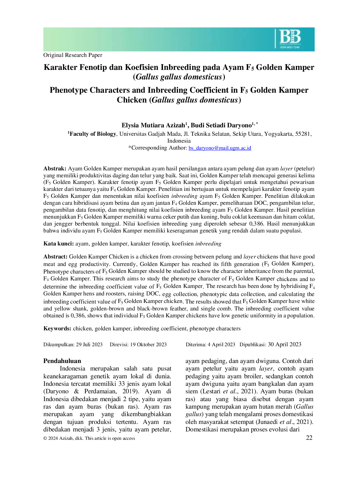 JURIS Karakter Fenotip dan Koefisien Inbreeding pada Ayam F5 Golden Kamper Gallus gallus domesticus