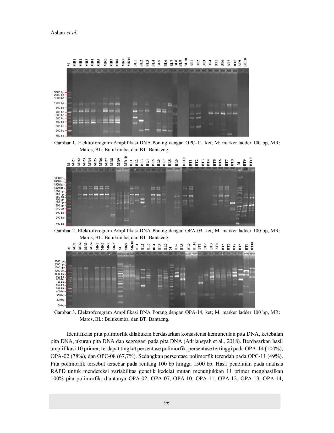 juris Genetic Diversity of Porang Genotypes in South Sulawesi Based on RAPD Molecular Markers