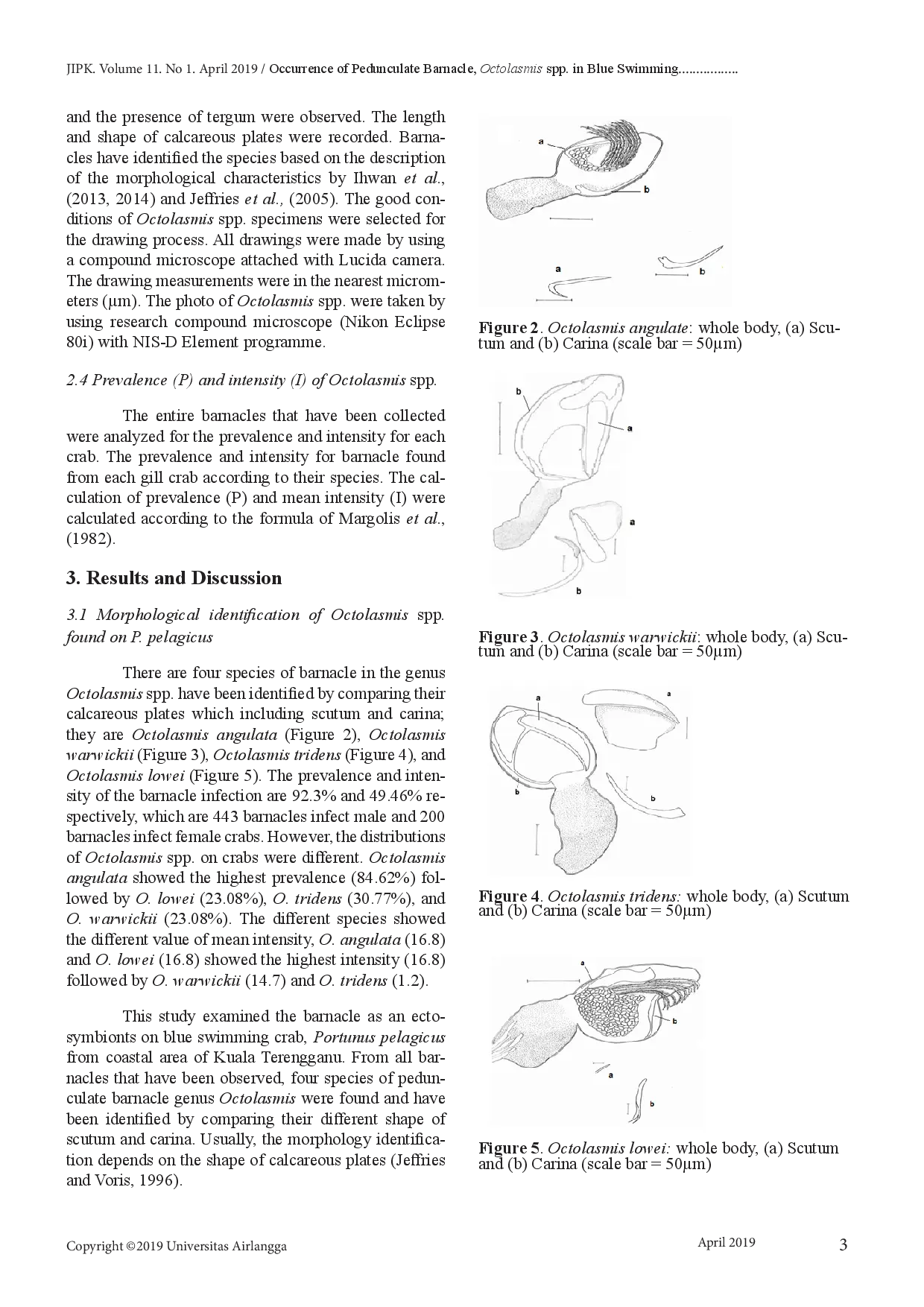 juris Occurrence of Pedunculate Barnacle Octolasmis spp in Blue Swimming Crab Portunus pelagicus br i Tingkat Kejadian Pedunculate Barnacle Octolasmis spp pada Rajungan Portunus pelagicus i