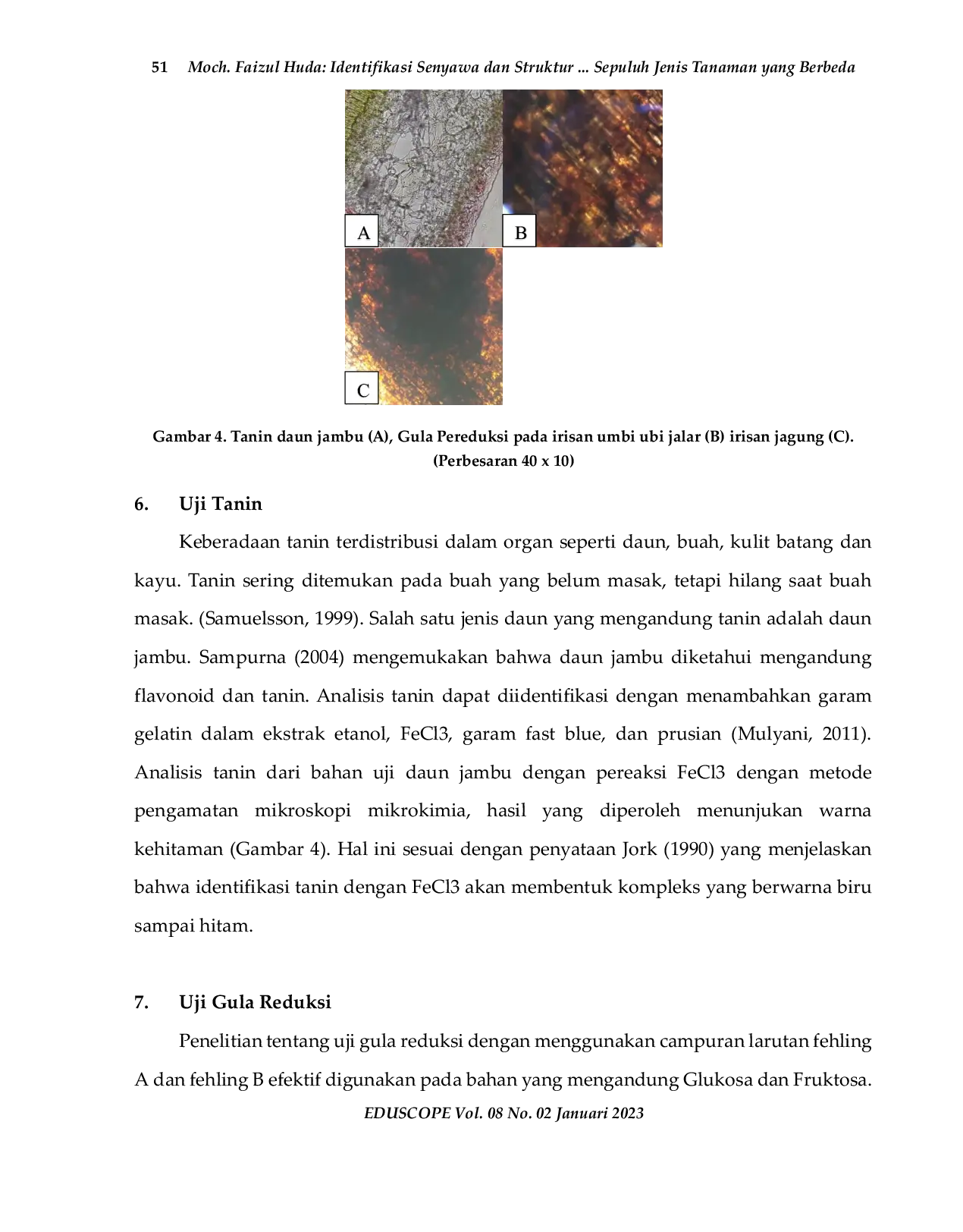 JURIS Identifikasi Senyawa dan Struktur Anatomi Tanaman melalui Uji Mikrokimia pada Sepuluh Jenis Tanaman yang Berbeda