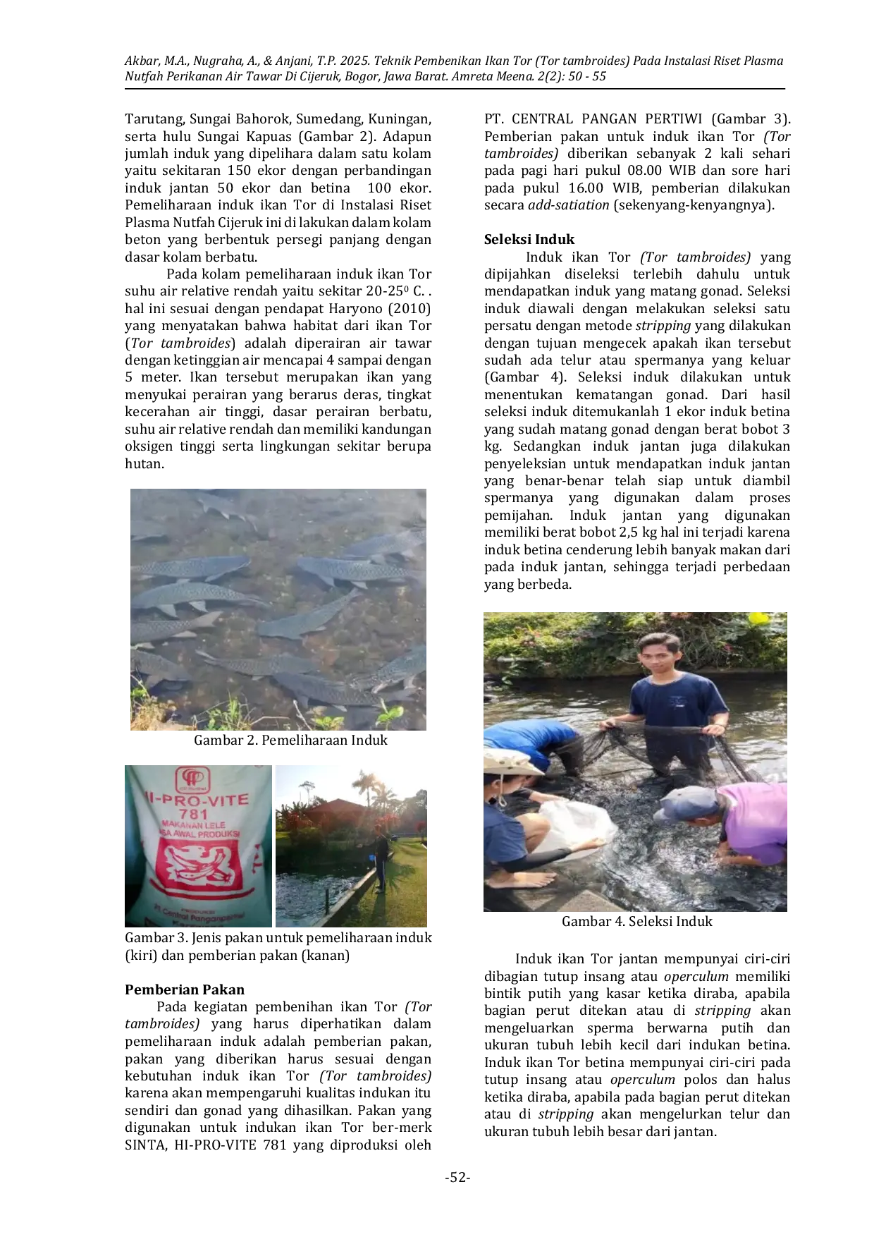 JURIS Teknik Pembenikan Ikan Tor Tor tambroides Pada Instalasi Riset Plasma Nutfah Perikanan Air Tawar Di Cijeruk Bogor Jawa Barat